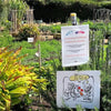 Artarmon Parklands Community Garden using WaterUps wicking system