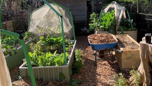 Wicking beds by WaterUps