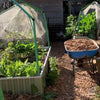 Wicking beds by WaterUps