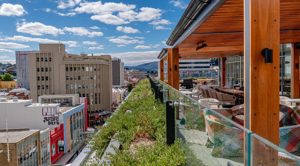 Crowne Plaza roof garden with WaterUps wicking system