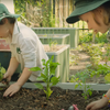 WaterUps partnering with the Stephanie Alexander Kitchen Garden Foundation