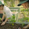 WaterUps partnering with the Stephanie Alexander Kitchen Garden Foundation