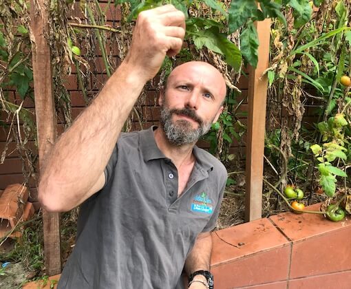 What to do in your wicking bed this month - Feb 21