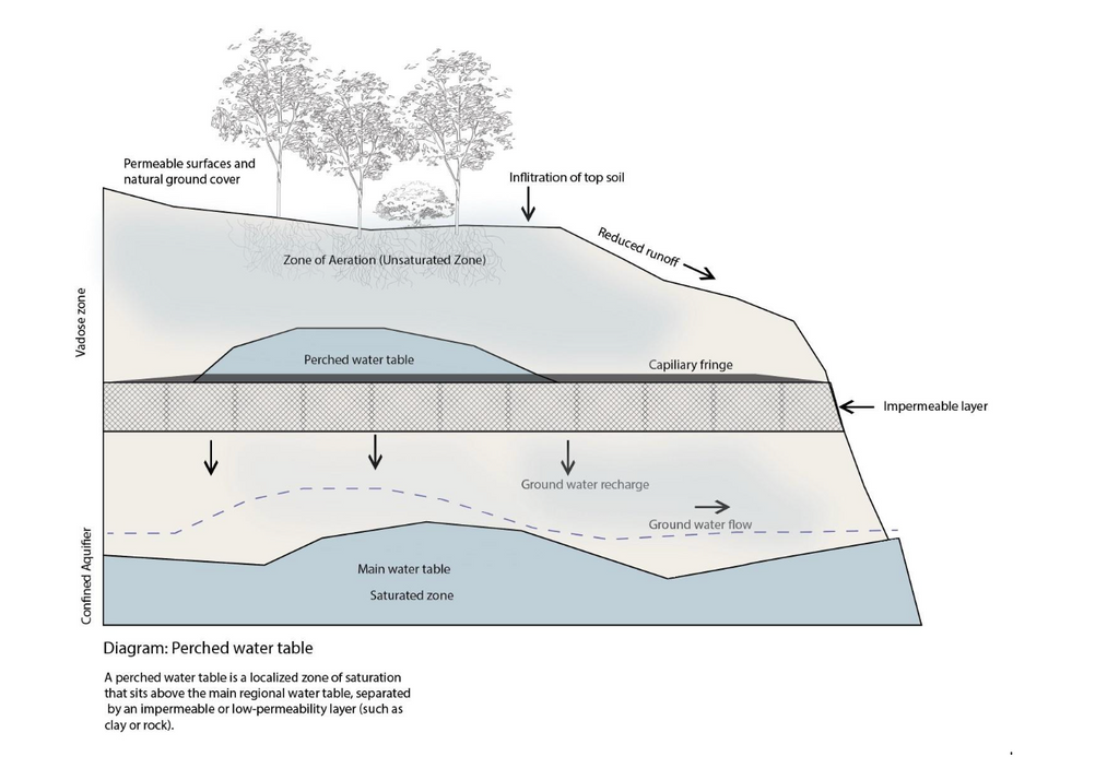 Understanding the Perched Water Table