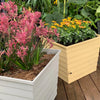WaterUps advanced the modern self-watering pot with its innovative wicking technology providing numerous benefits.