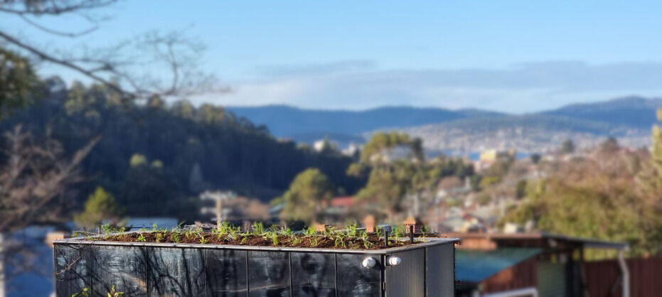 Rethinking Roof Gardens: How Self Watering and Wicking Beds Unlock More Planting Diversity