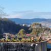 Rethinking Roof Gardens: How Self Watering and Wicking Beds Unlock More Planting Diversity
