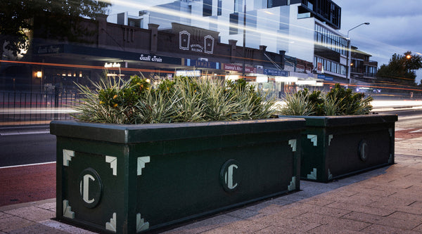 WaterUps in street planters on Military Road Neutral Bay