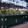 WaterUps in street planters on Military Road Neutral Bay