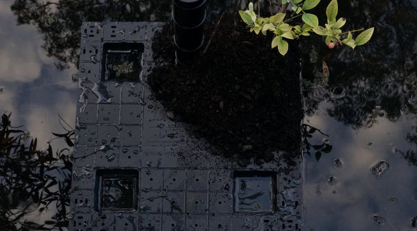 WaterUps wicking cell the engine of wicking