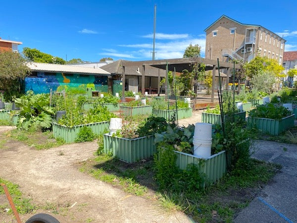 WaterUps Sydney's Bondi Public School