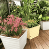 The Ultimate Spring Garden Bundle