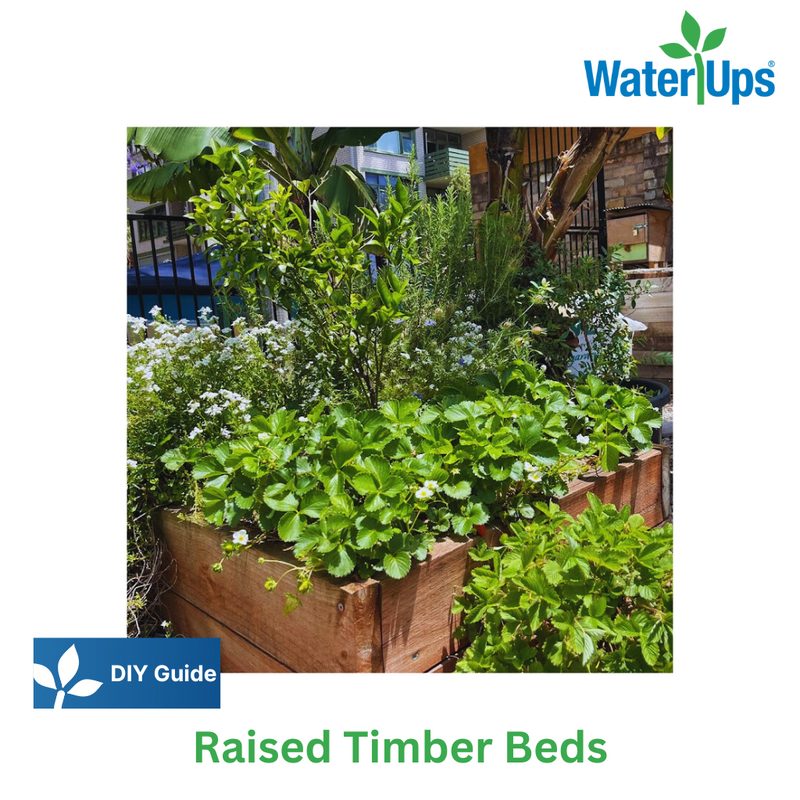 DIY Guide Timber Beds