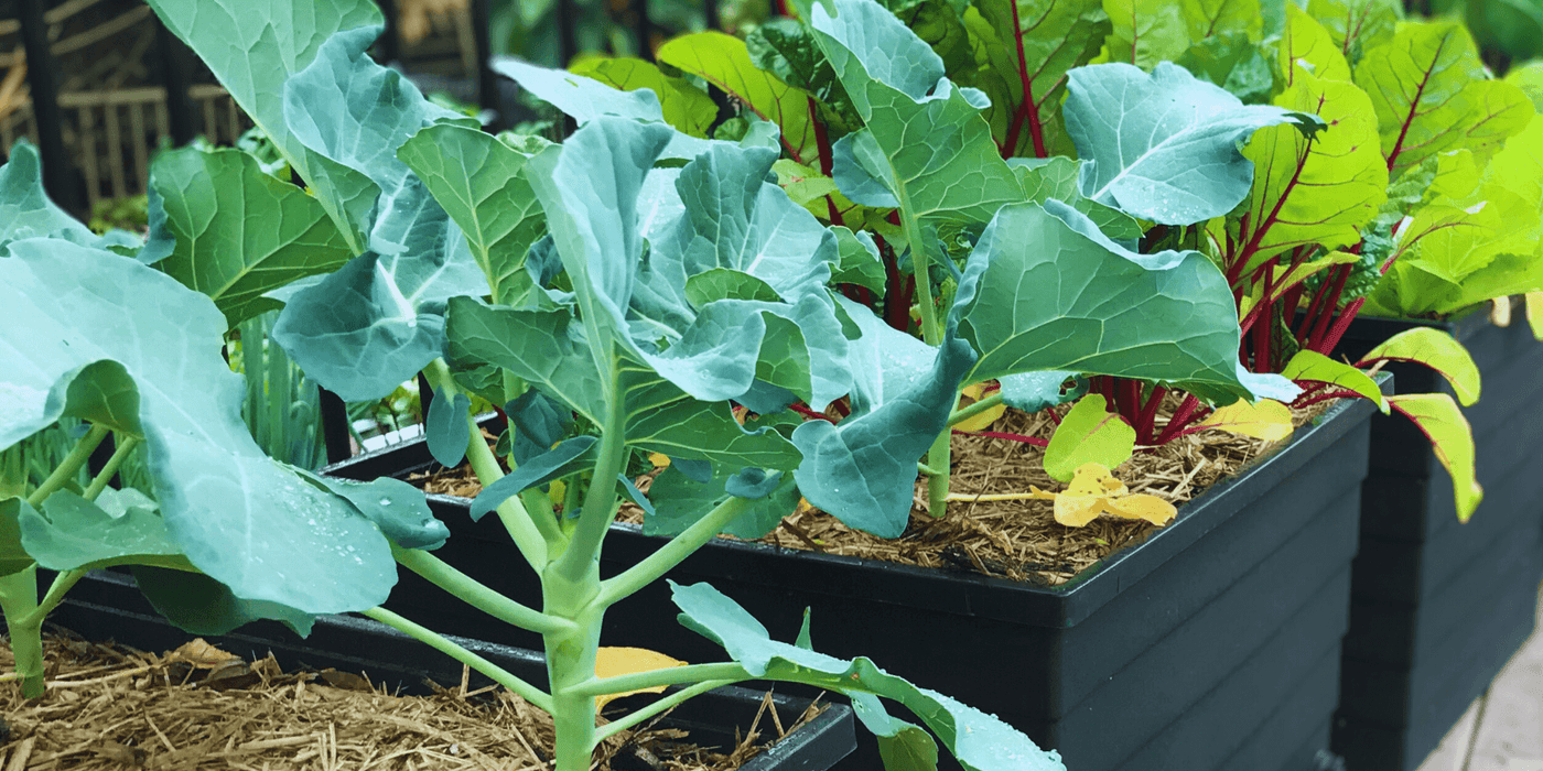 Horticulture and Urban Agriculture