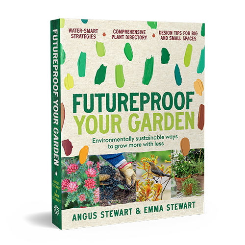 Oasis 8080 Christmas Bundle