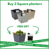 Green Friday Square Planter Bundle