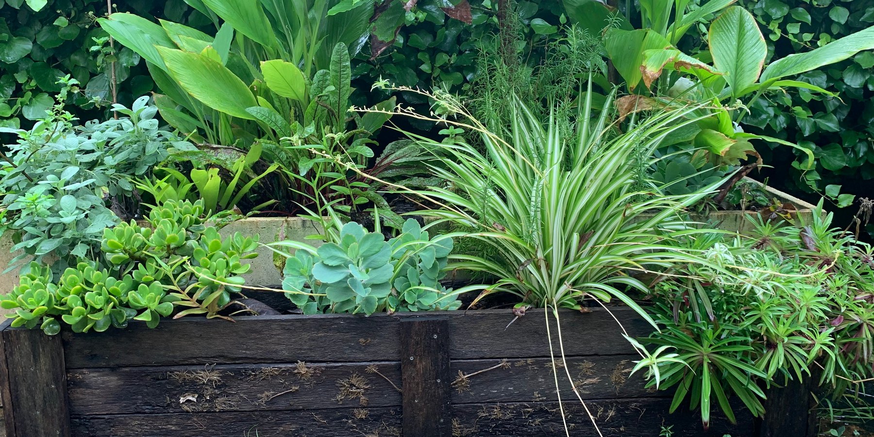 How to Make a Wicking Garden Bed