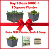 Oasis 8080 Christmas Bundle