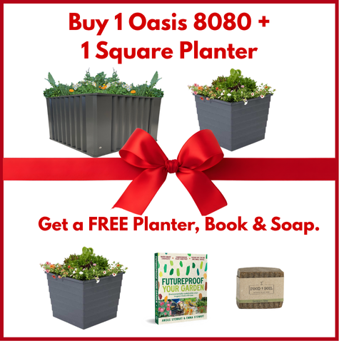 Oasis 8080 Christmas Bundle