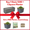 Oasis 1240 Christmas Bundle