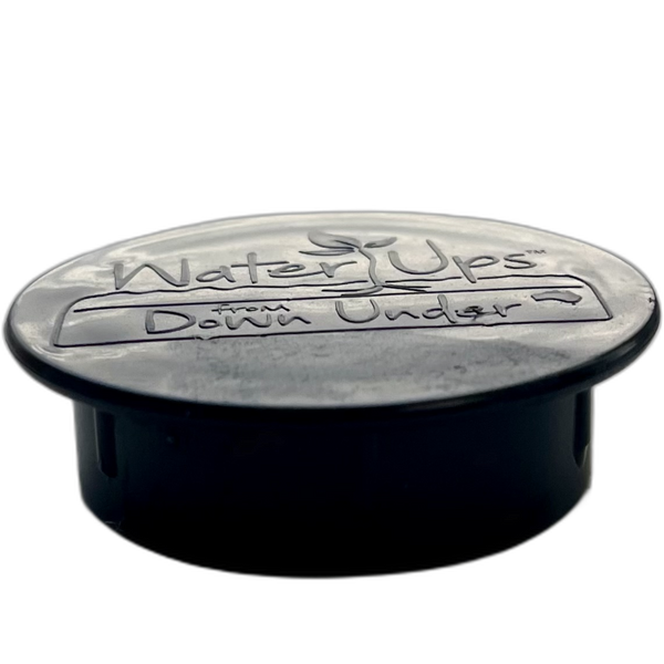 Replacement cap for WaterUps wicking system inlet filler pipe