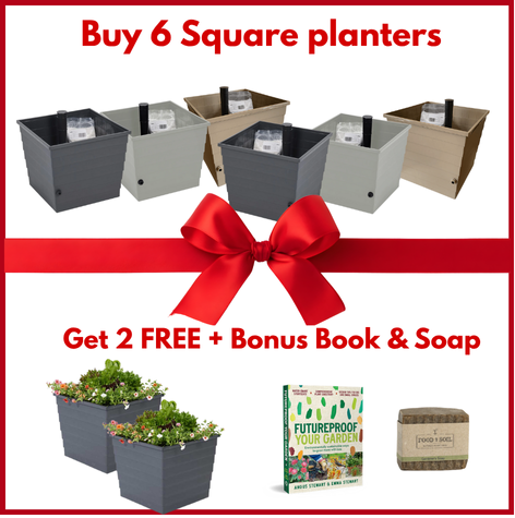 Square Planter Christmas Bundle
