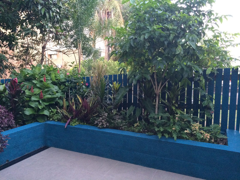 Improved Plant Yields