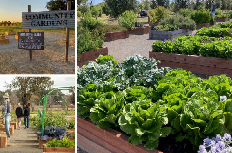 Food Growing / Urban Agriculture