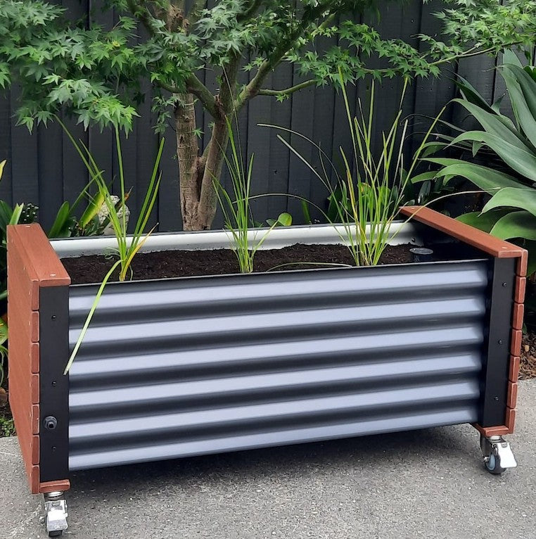 Raised Garden Beds