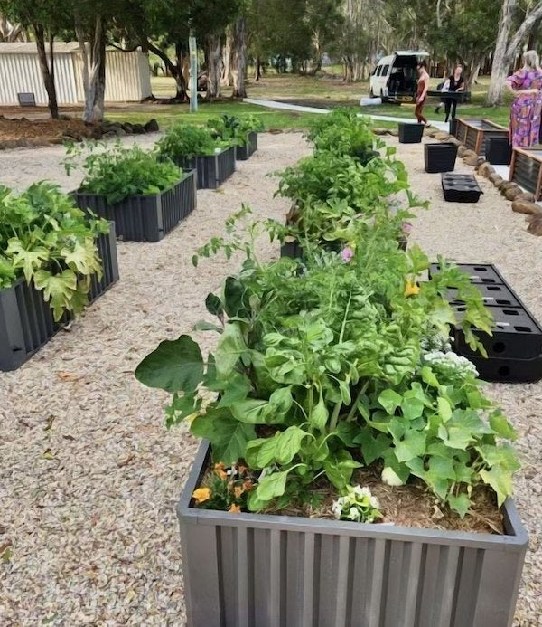 Veggie Gardens