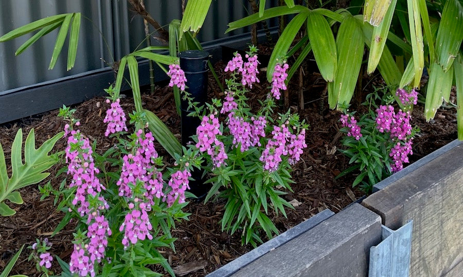 Garden Watering System