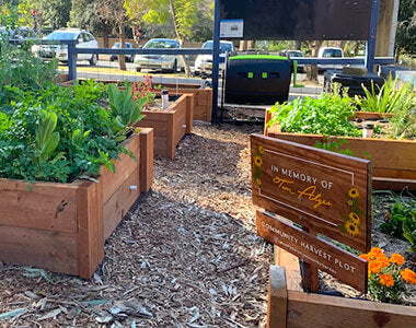 Community Gardens