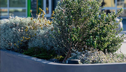 Street Planters