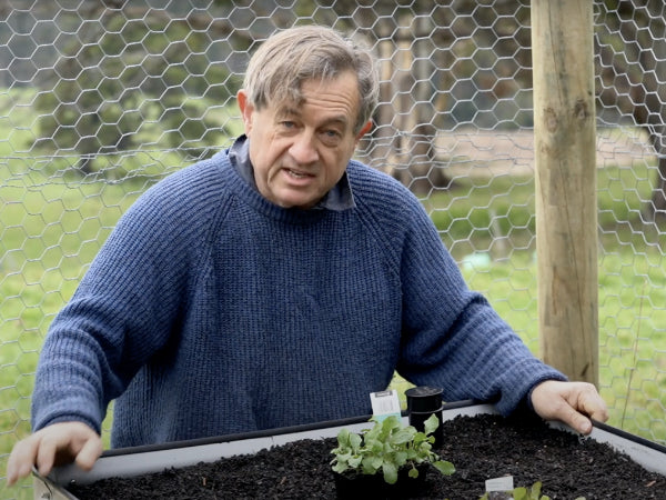 Angus Stewart Video on growing vegetables in his WaterUps<sup>®</sup> wicking bed