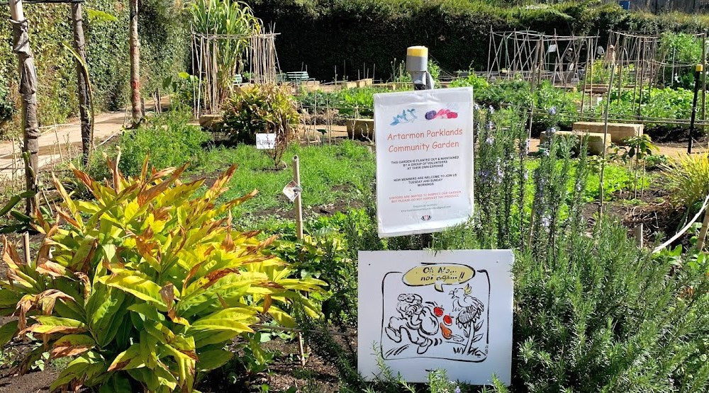 Artarmon Parklands Community Garden using WaterUps wicking system