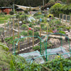 Artarmon Parklands Community Garden uses WaterUps