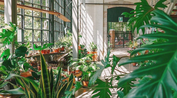 Corporate garden