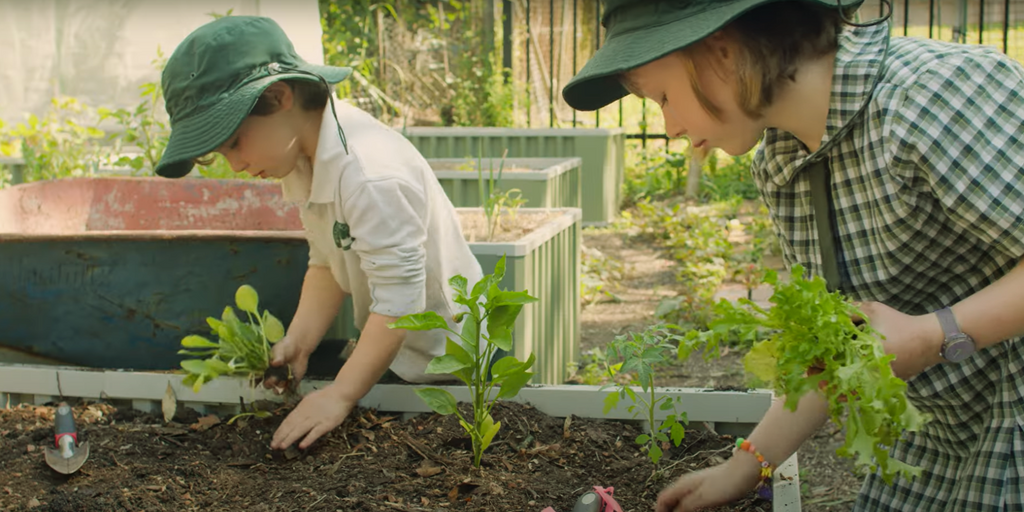 WaterUps partnering with the Stephanie Alexander Kitchen Garden Foundation