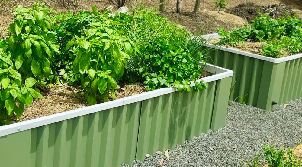 edible gardens with WaterUps