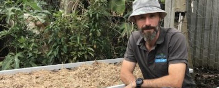 What to do in your wicking bed this month - Jan 21