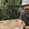 What to do in your wicking bed this month - Jan 21