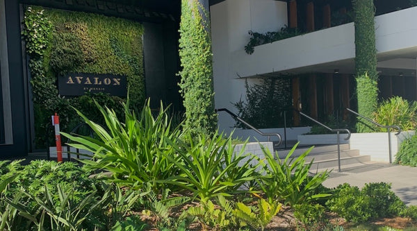 Green Offices