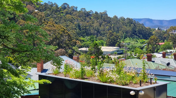 Property Developers-Rooftop Gardens improve liveability of buildings and cities while combating heat and flood issues