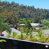 Property Developers-Rooftop Gardens improve liveability of buildings and cities while combating heat and flood issues