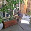 Update on his WaterUps® wicking beds from Jon Kingston