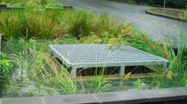 Rain Gardens