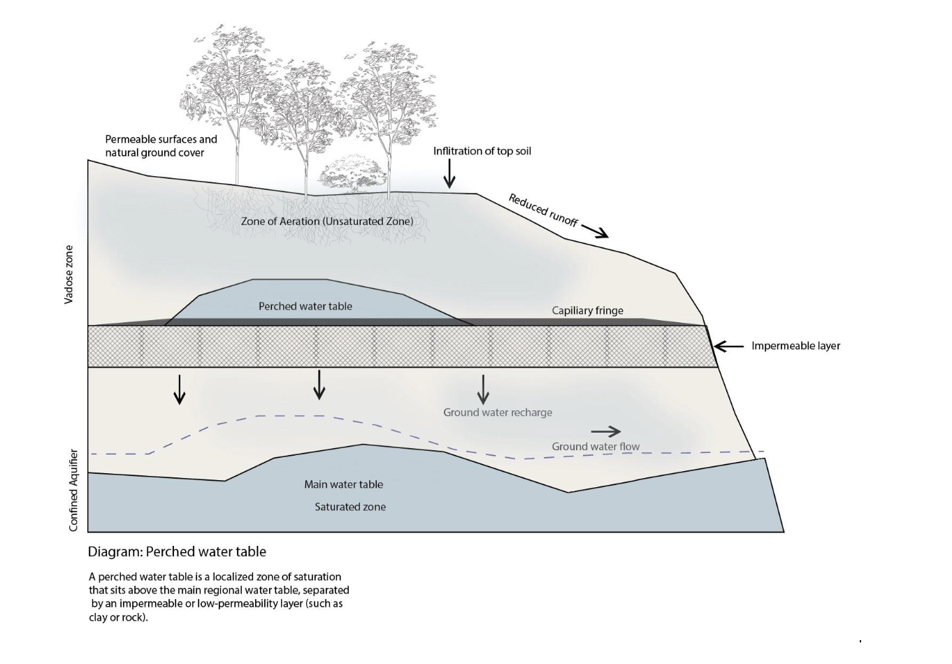 Understanding the Perched Water Table