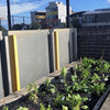 Sustainability 'Planting' Itself at St Luke's Grammar School