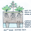 A guide from WaterUps on the optimal heights of wicking beds.