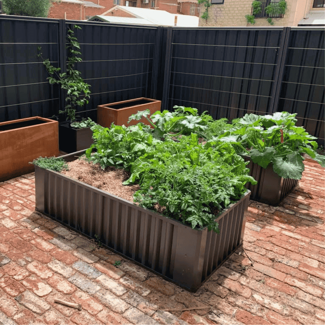 The Ultimate Spring Garden Bundle